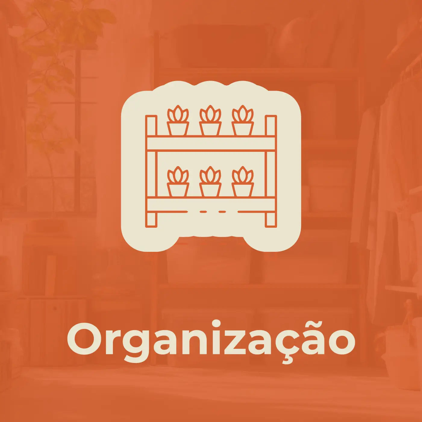 Organização