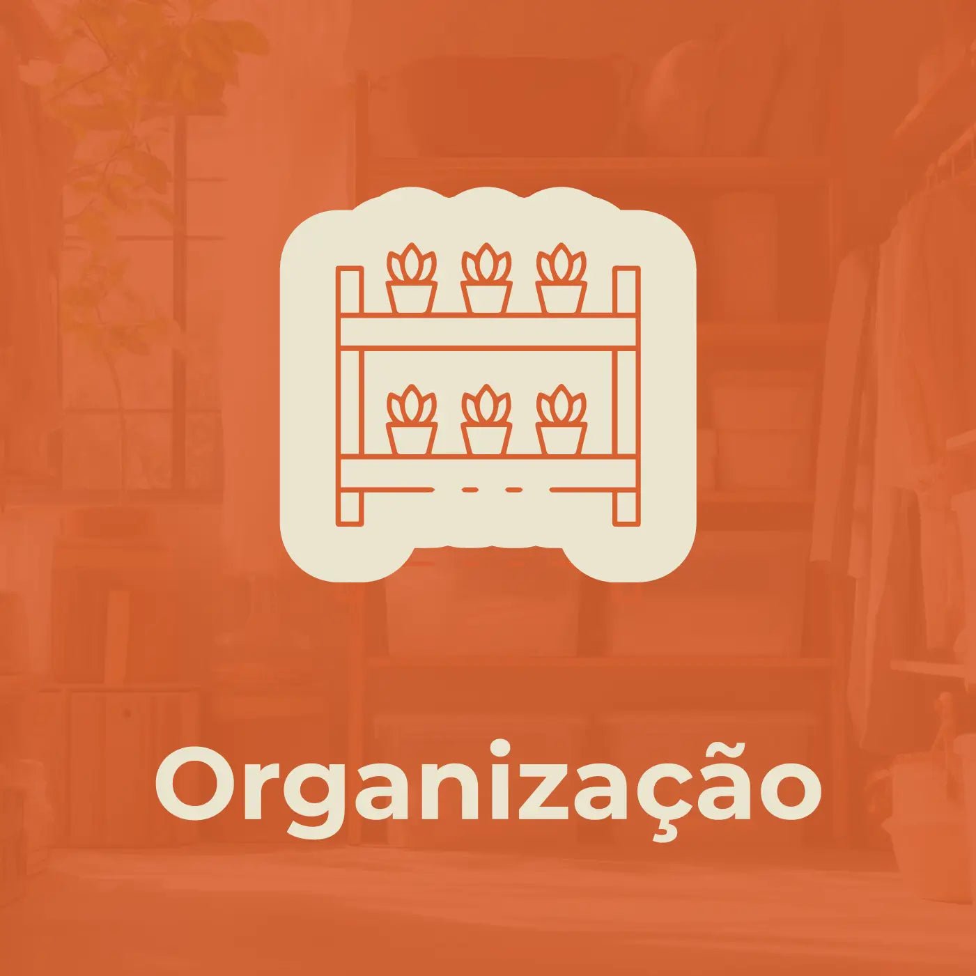 Organização - Vovó Lúcia